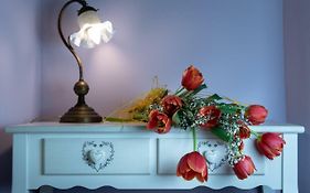 La Tosca Rooms